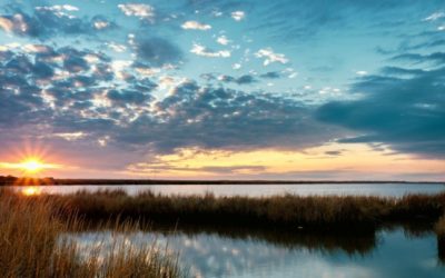 With CO2 Boost, Marshes Can Rise to Meet Flood Risks